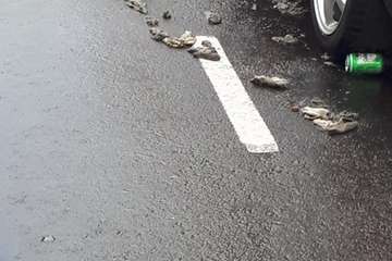 Río de excrementos en una calle de La Herradura (Telde)/TA.