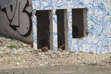 Marpequeña pide el derribo de los restos de la antigua finca Fortunas Flores/TA.