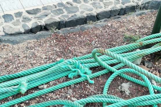 Destrozan el sogueado que protegía una plantación de tarajales en La Garita/TA.