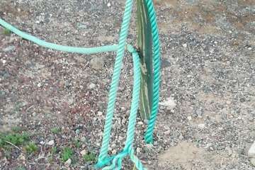 Destrozan el sogueado que protegía una plantación de tarajales en La Garita/TA.