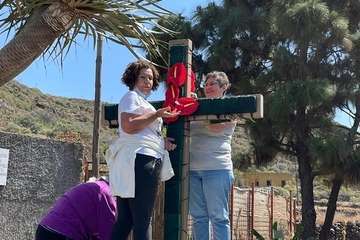 Telde se aferra al tradicional enrame de las cruces/TA, Francisco Javier Santana y Antonio Alí.