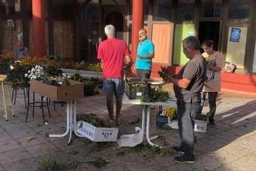 Telde se aferra al tradicional enrame de las cruces/TA, Francisco Javier Santana y Antonio Alí.