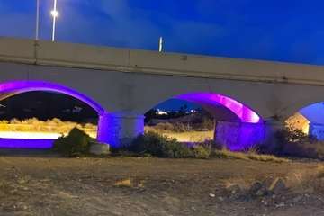 Telde pone morado los Siete Ojos por el Día Mundial de la EII/TA.