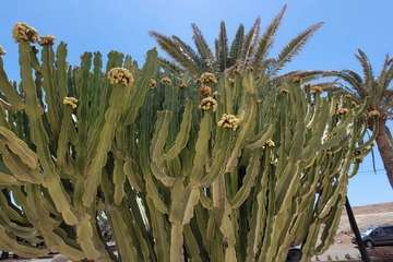 Ojos de Garza (Telde) despide sus fiestas religiosas en honor de Santa Rita/TA y Jesús Ruiz Mesa.
