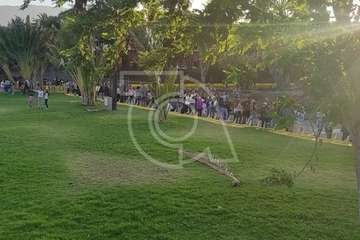 Gala Drag Queen del Carnaval de Telde 2022/Antonio Alí.