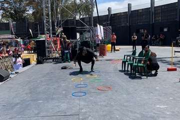 Intenso domingo de carnestolendas en Telde/TA.
