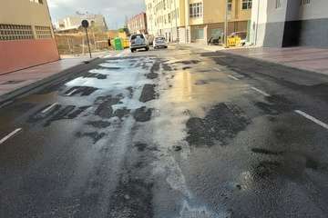 Dispositivo especial de limpieza del Carnaval/TA.