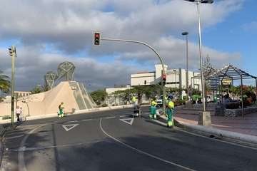 Dispositivo especial de limpieza del Carnaval/TA.