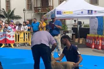 Los presas canarios toman la plaza de San Juan (Telde)/TA.