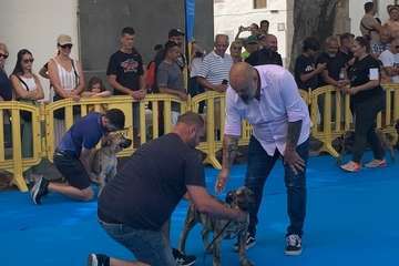 Los presas canarios toman la plaza de San Juan (Telde)/TA.