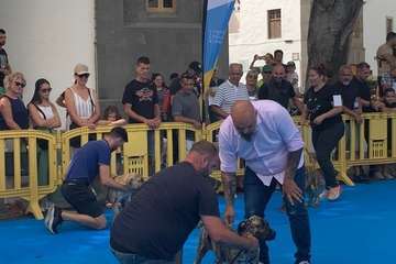Los presas canarios toman la plaza de San Juan (Telde)/TA.