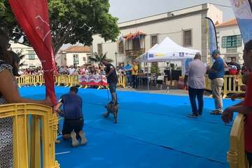 Los presas canarios toman la plaza de San Juan (Telde)/TA.