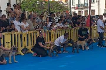 Los presas canarios toman la plaza de San Juan (Telde)/TA.