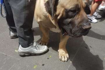 Los presas canarios toman la plaza de San Juan (Telde)/TA.