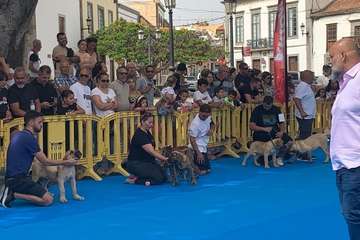 Los presas canarios toman la plaza de San Juan (Telde)/TA.