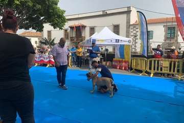 Los presas canarios toman la plaza de San Juan (Telde)/TA.