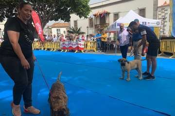 Los presas canarios toman la plaza de San Juan (Telde)/TA.