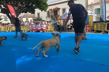 Los presas canarios toman la plaza de San Juan (Telde)/TA.