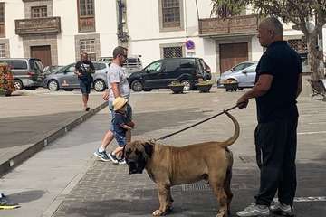 Los presas canarios toman la plaza de San Juan (Telde)/TA.