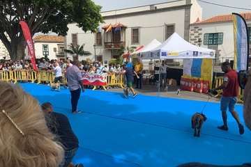 Los presas canarios toman la plaza de San Juan (Telde)/TA.