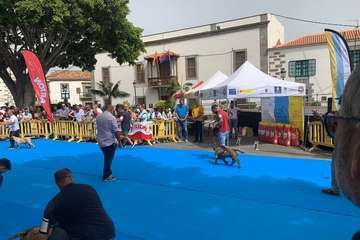 Los presas canarios toman la plaza de San Juan (Telde)/TA.