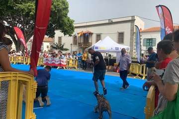 Los presas canarios toman la plaza de San Juan (Telde)/TA.