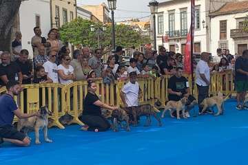 Los presas canarios toman la plaza de San Juan (Telde)/TA.