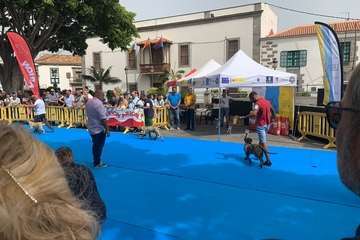 Los presas canarios toman la plaza de San Juan (Telde)/TA.