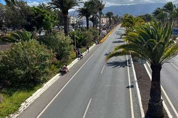  Telde disfruta con los pura sangre/TA.