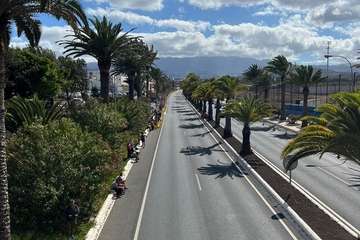  Telde disfruta con los pura sangre/TA.