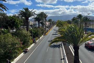  Telde disfruta con los pura sangre/TA.