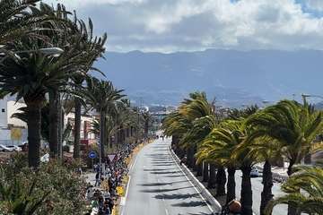  Telde disfruta con los pura sangre/TA.