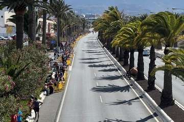  Telde disfruta con los pura sangre/TA.