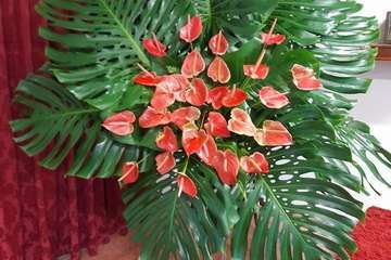 Hornos del Rey pone fin a sus fiestas con una misa y procesión religiosa/TA.