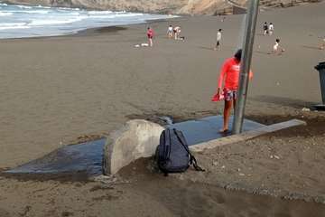  Duchas sin asiento en Playa del Hombre/TA.