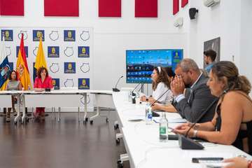 Igualdad se coordina con los Ayuntamientos de la isla para elaborar un diagnóstico sobre las mujeres migrantes/TA.