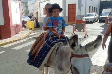  Lomo Magullo juega a las carreras de burros/TA.