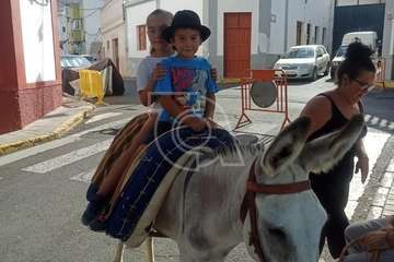  Lomo Magullo juega a las carreras de burros/TA.