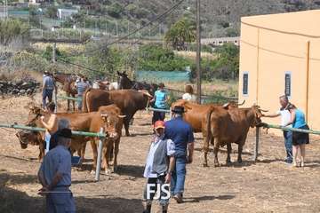 Foto FJS Fotografía