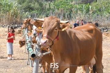 Foto FJS Fotografía