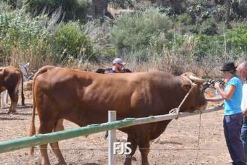 Foto FJS Fotografía