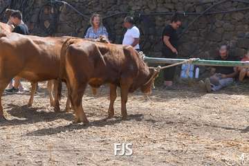 Foto FJS Fotografía