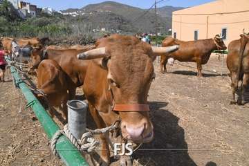 Foto FJS Fotografía