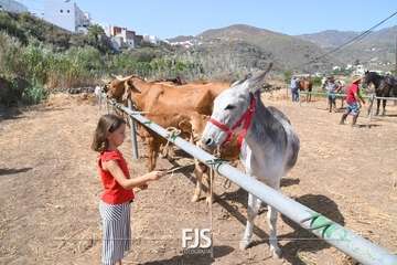 Foto FJS Fotografía