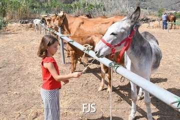 Foto FJS Fotografía