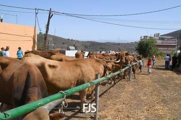 Foto FJS Fotografía