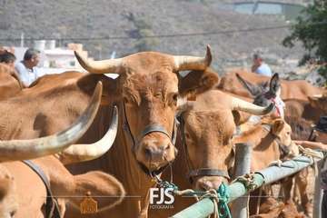 Foto FJS Fotografía