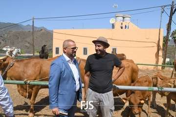 Foto FJS Fotografía