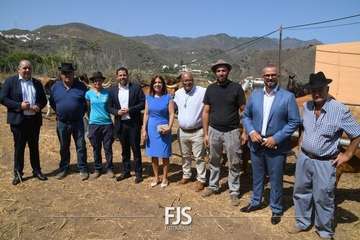 Foto FJS Fotografía