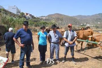 Foto FJS Fotografía